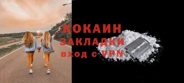 мдпв Бронницы