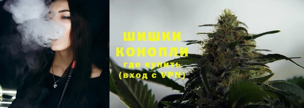 mix Богородицк