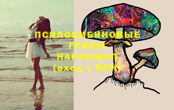 мдпв Бронницы
