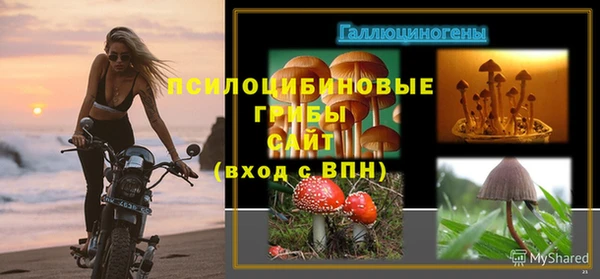 mix Богородицк