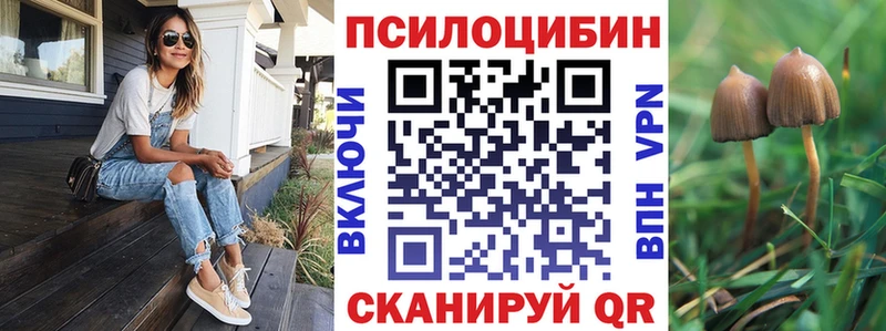 Купить закладки  Грязи  Псилоцибиновые грибы Cubensis 